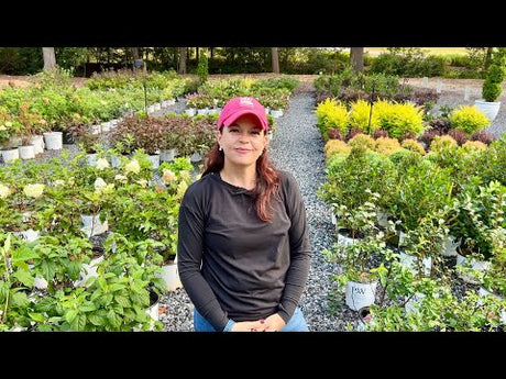 Why Fall Is The Best Time To Plant, Plus Land & Sea Special