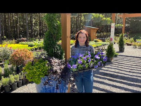 First of October Nursery Tour