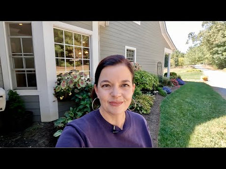 Early Fall Garden Tour & A Surprise Garden