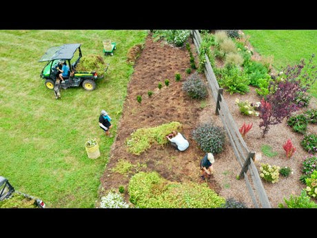 Bye-Bye Petunias!