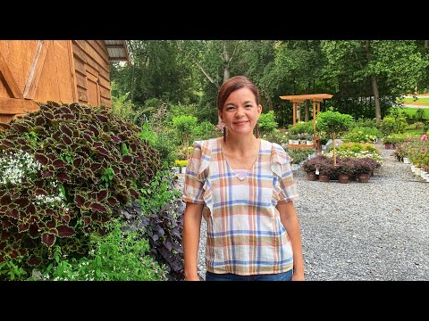 Early September Creekside Nursery Tour