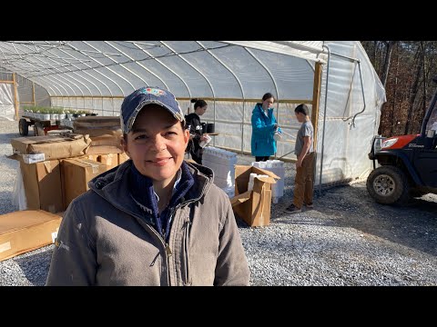 Greenhouse & Patio Project Update // Gardening with Creekside ...