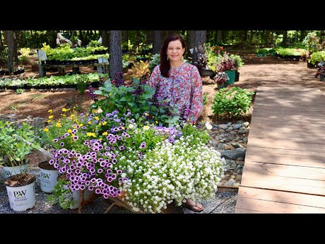 New Plant Arrivals at the Nursery