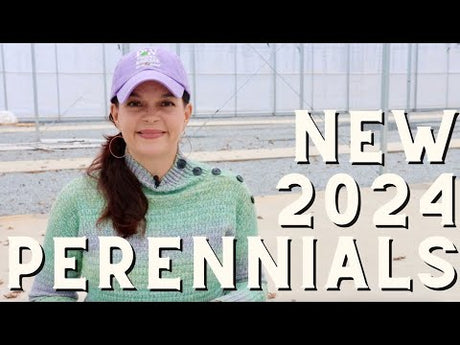 Unveiling the Must-Have Perennials for Your 2024 Garden