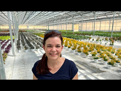 A Behind the Scenes Tour of Pleasant View Gardens