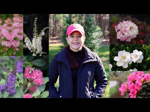 Top 10 Shrubs for the South (And Beyond)