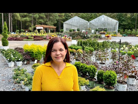 New Items on Website & Nursery Tour