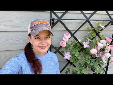 Garden Tour & Chicken Update