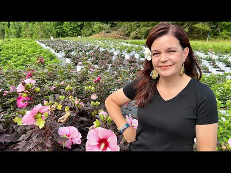 Time to Think of Fall Plantings | Production Nursery Tour