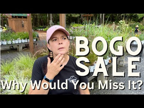 Fantastic BOGO Nursery Sale