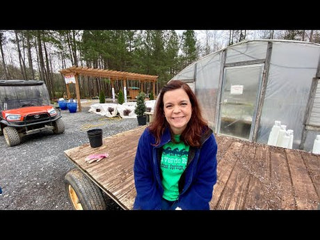A Day in the Life | Early Spring