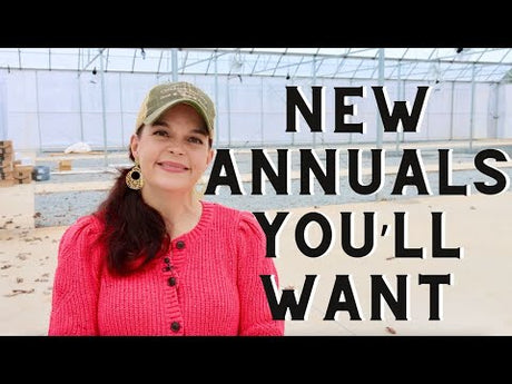 New Annuals You'll Want in 2024