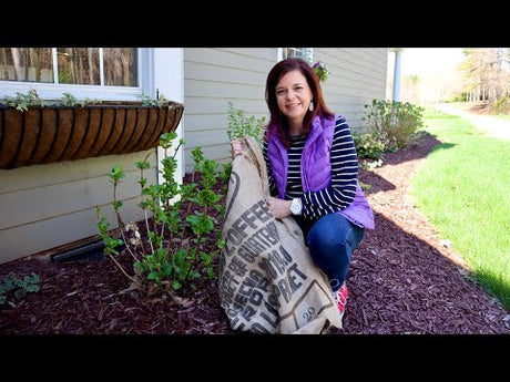 How to Protect Plants from Frost & Freeze