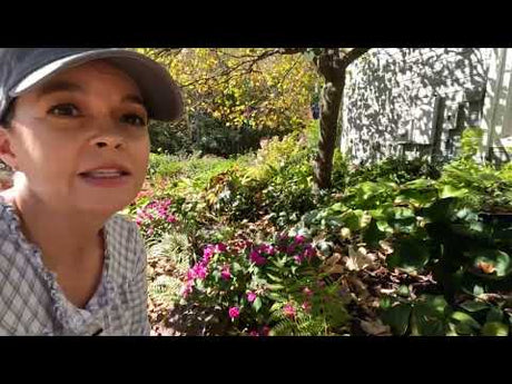 Fall Garden Cleanup Begins