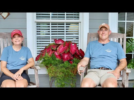 August Porch Question & Answer