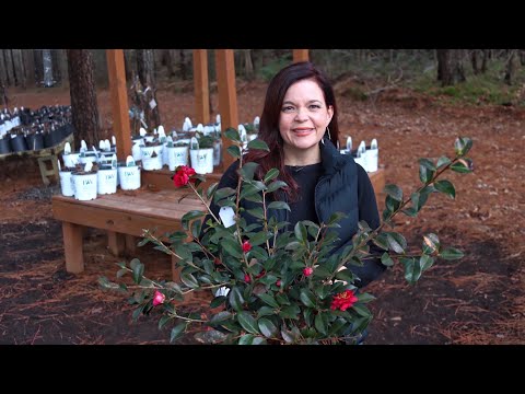 End of February Nursery Tour