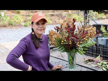 New Website Launch & A Thanksgiving Arrangement From the Garden