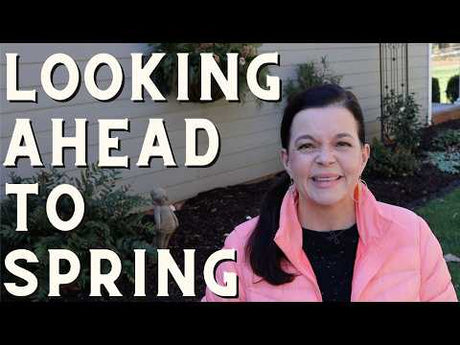 Looking Ahead to Spring: A Winter House Garden Tour