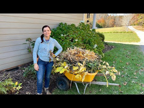 A Bit of Fall Garden Chores