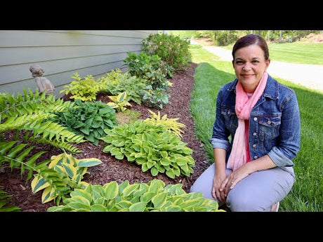 Spring Garden Tour