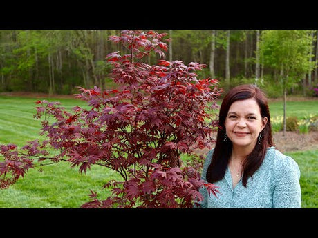 Early April Garden Tour