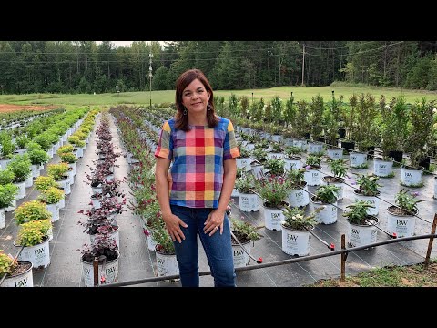 Nursery Tour & Baby Shrub Update