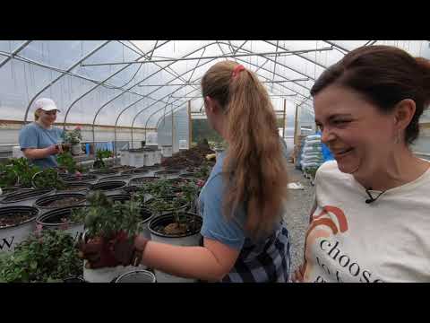An October Day at the Nursery