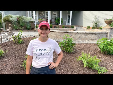 Planting Doozies & Sapphires in the Garden