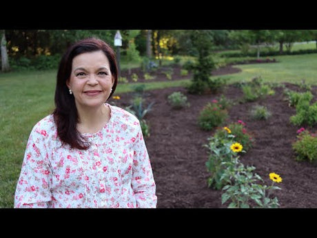 How to Create a Beautiful Flower Bed