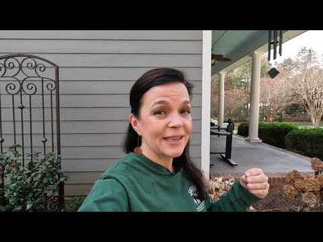 How I Prepare My Shade Garden For Winter
