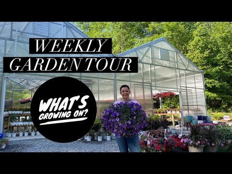 Weekly Garden Tour: What's Growing On?