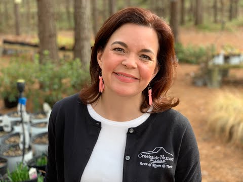 Plant Tour and Spring Gardening Tips
