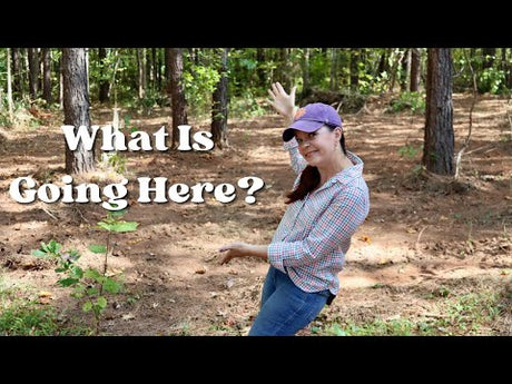 How to Add the Colors of Fall To Your Garden & A New Project