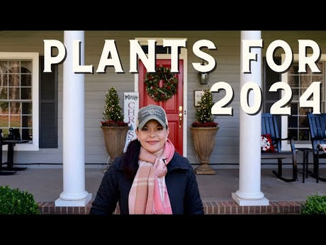 Plants I'm Excited For In 2024: Annuals & Perennials