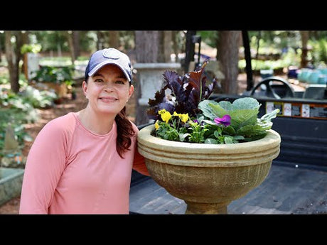 The Online Store is OPEN & Arrival of Fall Annuals
