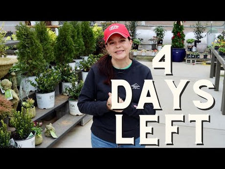 Only 4 Days Left To Visit Creekside in 2023