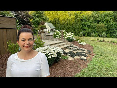Top 5 Tips for Successful Gardening in the Heat