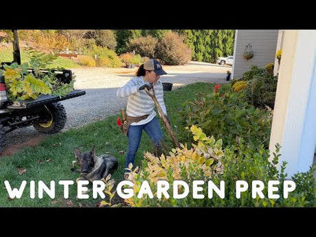 How To Prepare Your Shade Garden for Winter