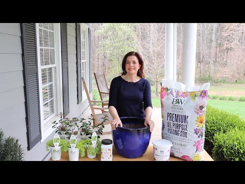 How to Attract Hummingbirds to Your Garden