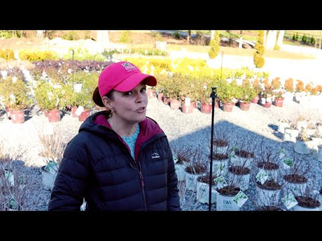 Nursery Tour & Our Season Opener