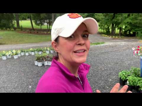Nursery Tour & Update