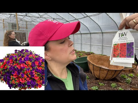 Massive Delivery of Proven Winners Annuals