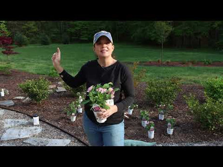 Planting Flowers: How to Get the Most Out of Your Garden