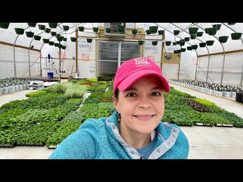 3 Huge Plant Deliveries in 1 Day