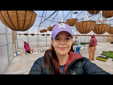 Planting 8k Annuals in a Day