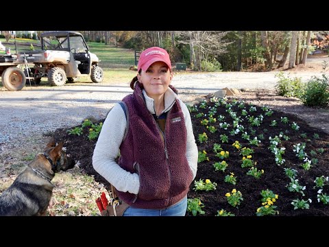Making a Winter Garden Statement