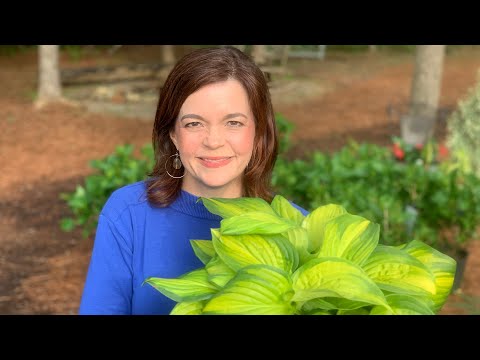 Weekly Nursery Update