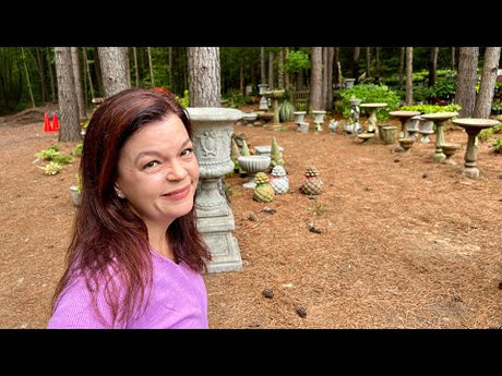 New Planters & Hostas Galore