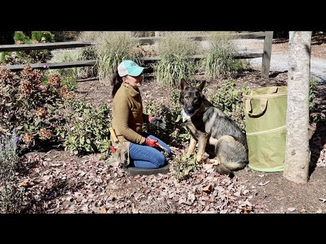 How To Trim Perennials In The Fall