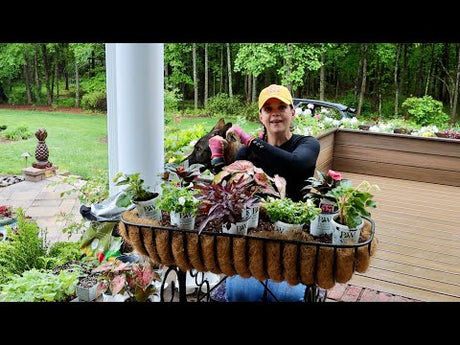 Creating Colorful Shade Containers